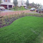 Tuinrenovatie gazon